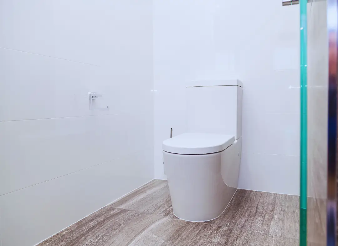 Remplacement de wc Caumont-sur-Durance